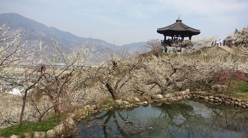 사진 = 광양시청