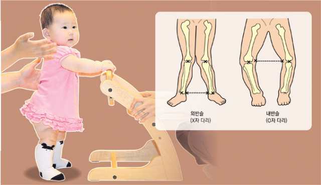 아기의 엉덩이 관절 주변과 무릎 주변 근육을 자주 스트레칭해 주면 예쁜 다리를 갖는 데 도움이 된다.
