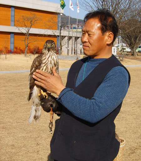청도에서 전통 매사냥 기술의 명맥을 이어가고 있는 이기복 씨가 훈련시킨 사냥매를 선보이고 있다. 노진규 기자