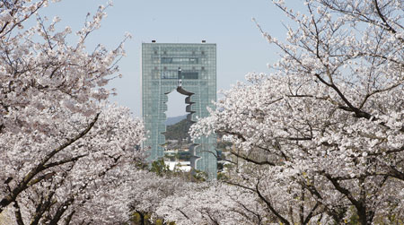 경주타워 뒤 벚꽃길. 경주엑스포 제공