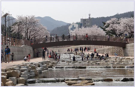 금오천에 맑은 물이 흐르게 됐다. 물 순환형 하천정비사업 전후. 경북도 제공