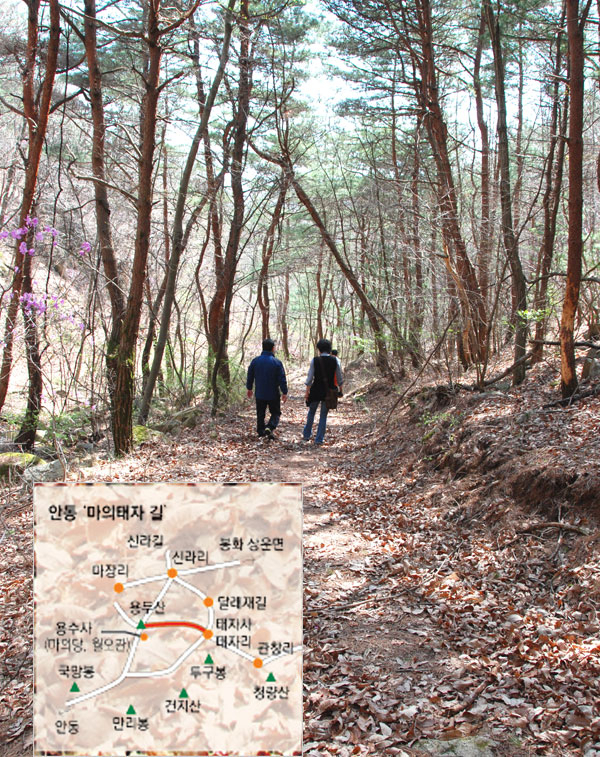 안동 도산면 용수사와 용두산 일대에는 신라 마지막 왕자로 천년 문화의 신라 경영을 실현시키지 못한 채 신라를 떠나야 했던 비운의 왕자 마의태자가 머물렀던 흔적들이 산재해 있다. 