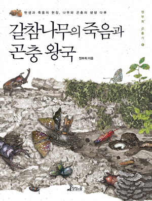 갈참나무를 먹이로 식사를 즐기는 원산밑들이 메뚜기.