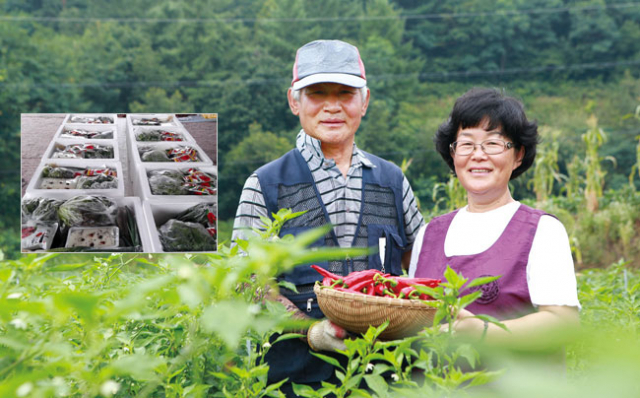 안동에서 농산물 \