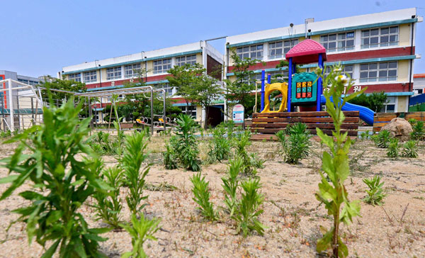대구 북구 3공단에 위치한 삼영초등학교가 지난해 문을 닫으면서 주민들의 휴식공간이 사라졌다. 31일 오후 삼영초교 운동장에는 잡초만 무성히 자라 을씨년스러운 분위기를 풍기고 있다. 김영진 기자 kyjmaeil@msnet.co.kr
