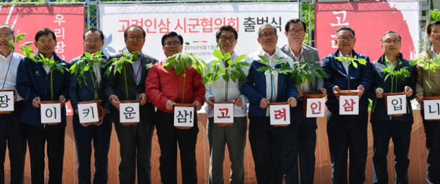 인삼재배지 시장