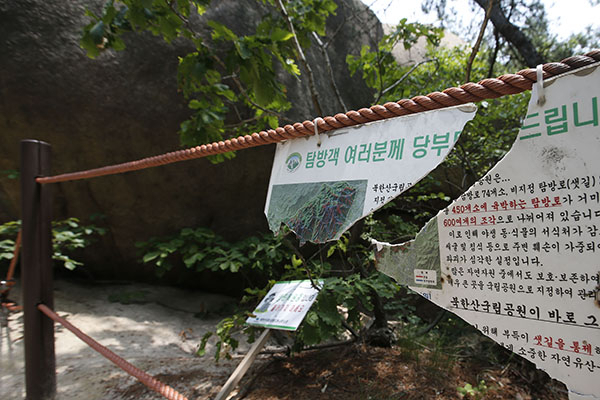 8일 경기도 의정부시 사패산에서 50대 여성 등산객이 옷이 반쯤 벗겨져 숨진 채로 발견돼 경찰이 수사에 나섰다. 경찰은 이 여성이 목 졸려 살해됐을 가능성이 큰 것으로 보고 수사전담반을 편성했다. 사진은 시신이 발견된 지점 근처의 등산로 모습. 연합뉴스