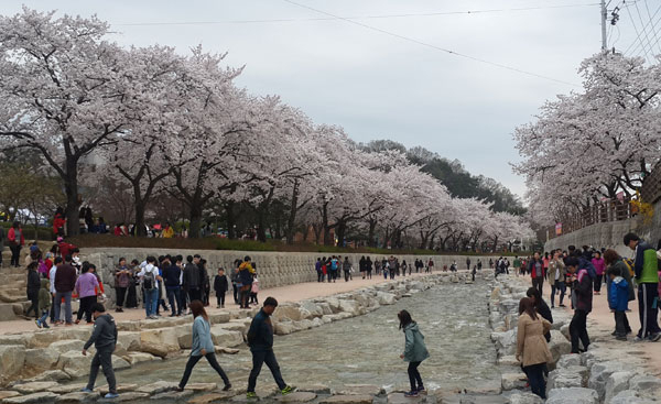 경북도가 메마른 건천에 생명을 불어넣는 