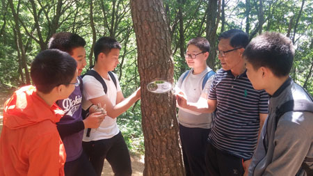 문명중학교 교사와 학생들이 경산 백자산에서 나무에 이름표 달기를 하며 즐거워하고 있다. 문명중 제공