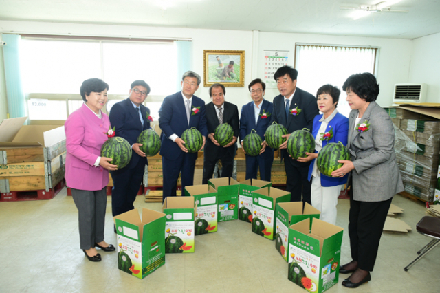 지난달 12일 고령 우곡 그린수박 직판장 개장식에서 곽용환(왼쪽 세 번째) 고령군수와 이완영(왼쪽 다섯 번째) 국회의원 등 내빈들이 꼭지 짧은 수박을 들어 보이고 있다. 고령군 제공