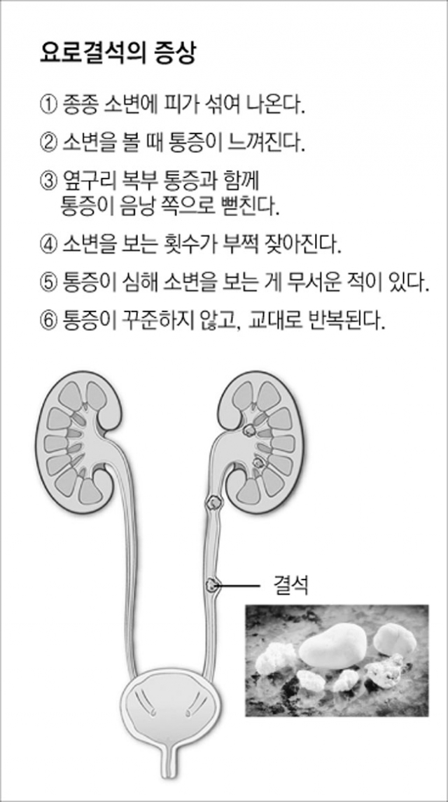 진료 중인 대구가톨릭대병원 정현진 교수.