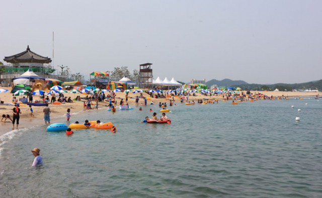 경북 유일의 