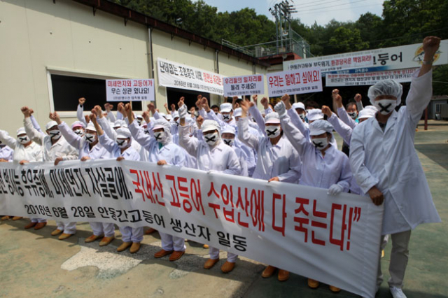안동간고등어 업체 임직원들이 28일 안동간고등어 생산공장에서 환경부 고등어 미세먼지 파동 과정에서의 환경부 태도를 강하게 비난하며 침묵시위를 벌이고 있다. 안동간고등어 제공