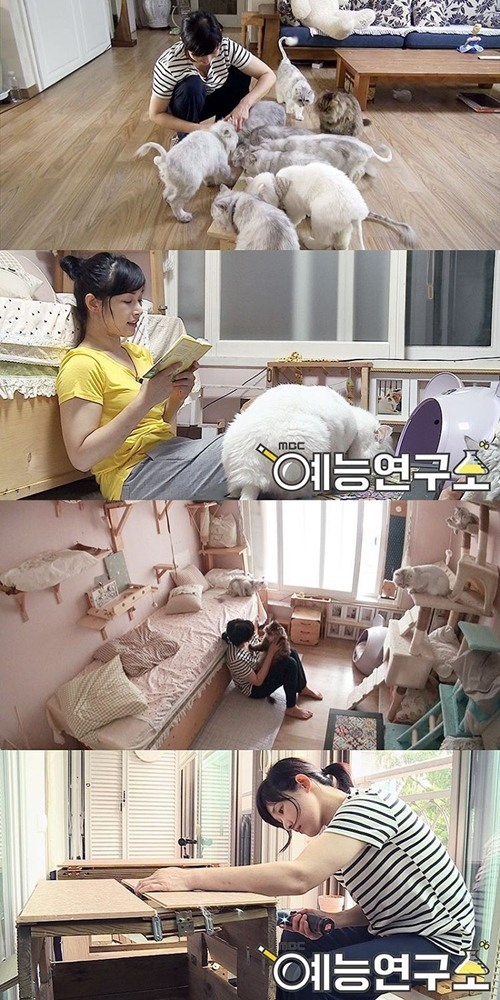 사진. MBC 