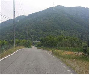 경산시 남천면 하도리 임야