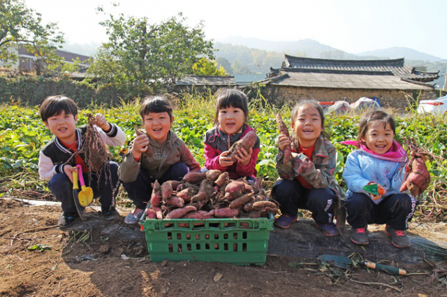 매일전국어린이사진전 제60회 금상 최은영 작 