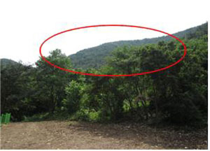 대구 동구 둔산동 임야