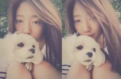 사진. 박신혜 SNS