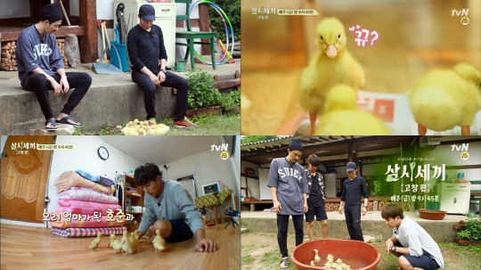 사진. tvN 삼시세끼 제공