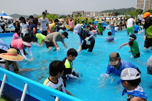 지난해 열린 봉화 은어 축제장에 물놀이 인파가 몰려 있다. 봉화군 제공