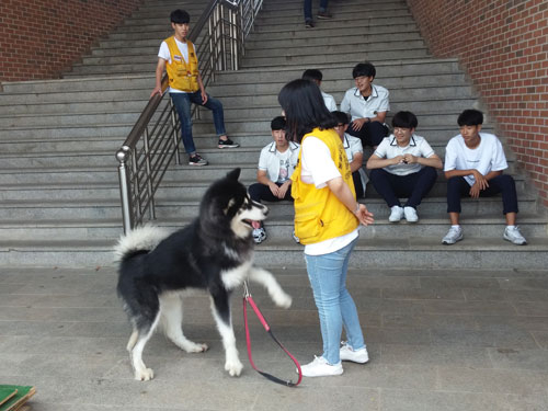 칠성고의 진로 프로그램에 참여한 1학년 학생들이 최근 대경대를 방문해 동물을 조련하는 모습을 바라보고 있다. 칠성고 제공