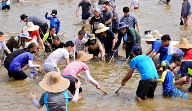 폭염과 함께 본격 휴가철을 맞아 지난달 30일 경북 봉화 내성천에서 열린 봉화은어축제에 전국에서 몰려든 많은 피서객들이 반두를 이용해 은어잡이를 하고 있다. 김영진 기자 kyjmaeil@msnet.co.kr