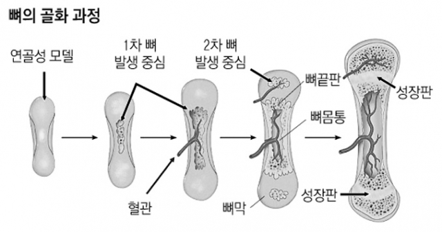 고철우 경북대병원 소아청소년과 교수가 어린이를 진료하고 있다.
