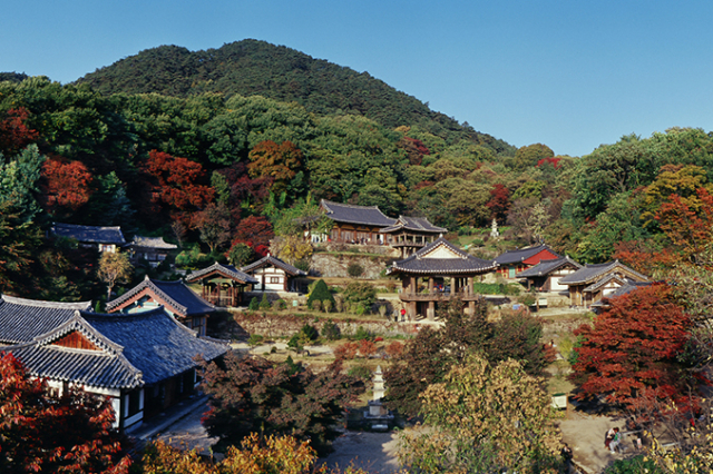 영주 부석사=매일신문 D/B