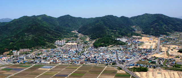 강호 김숙자 선생이 태어난 선산읍 영봉리(지금의 이문리, 노상리, 안전리) 전경. 마을 뒤로 비봉산이 병풍처럼 펼쳐져 있다.