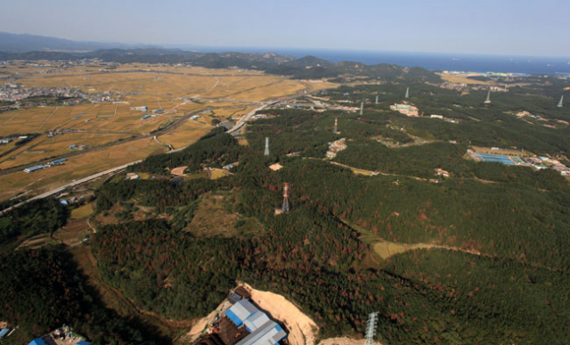 포항 흥해읍 남송리 일대 산의 2014년 가을 모습. 소나무재선충병에 걸려 갈색으로 변해 버렸다. 포항시 제공