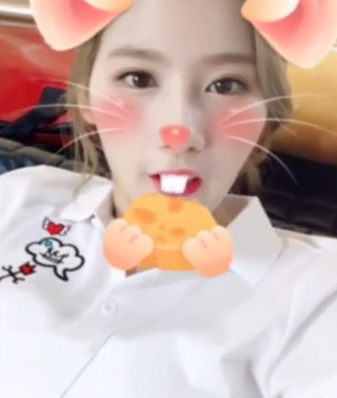 사진. 트와이스 공식 SNS