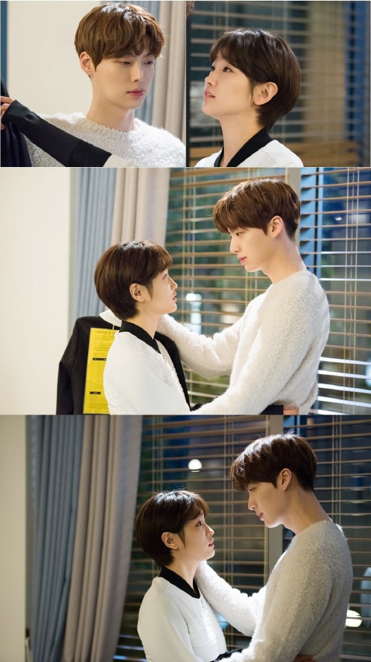 사진. tvN 신데렐라와 네명의 기사 제공