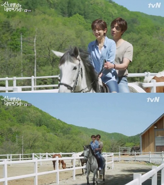 사진. tvN 신데렐라와 네명의 기사 캡처