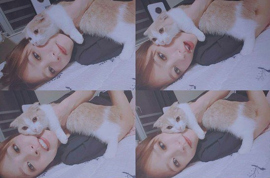 사진=하니 인스타그램