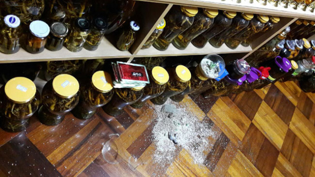 지진이 발생한 12일 저녁 대구 동구 신암동 한 주택에 진열돼 있던 화분이 파손돼 널브러져 있다. 독자 김인규 씨 제공