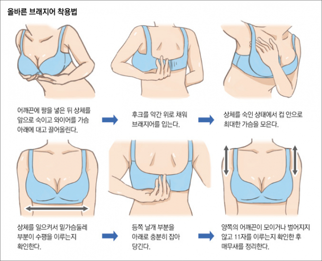 몸짱 열풍에 각 부위별로 체형을 보정해주는 속옷 제품이 다양하게 출시돼 있다.대구백화점 제공