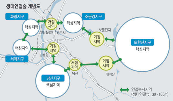 서악지구 선도산 일원. 매일신문 DB