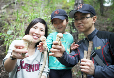 경북 최고의 생태도시, 울진의 가을을 담은 금강송 송이축제가 다음 달 1일부터 사흘간 엑스포공원 등에서 펼쳐진다. 이번 축제에는 명품 송이를 저렴한 가격에 구매할 수 있는 할인 프로그램과 가족단위 관광객들을 위한 다양한 체험프로그램이 마련됐다. 울진군 제공