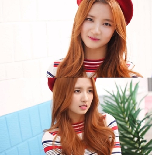 사진. 젤리피쉬