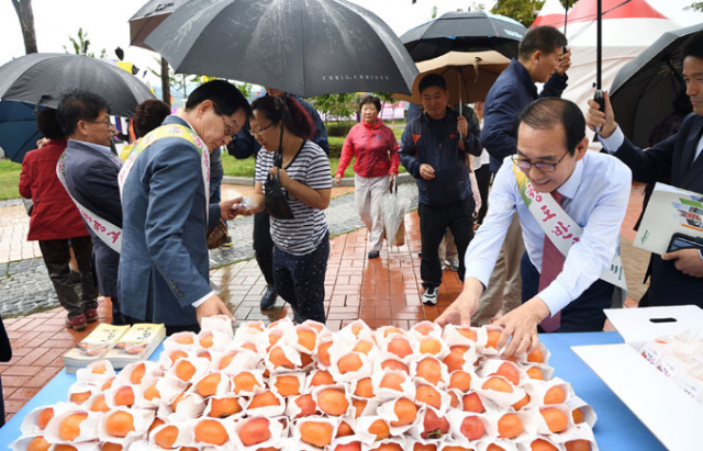 7~9일 청도야외공연장에서 청도반시축제