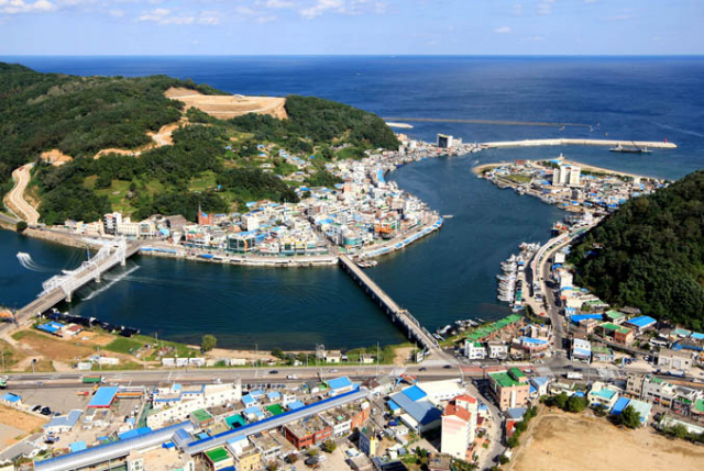 이명박정부 때 중앙정부가 