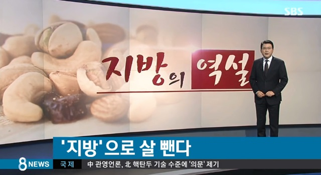 사진. 