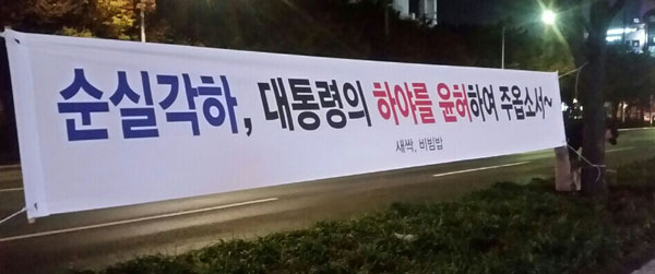 4일 오후 10시쯤 대구 수성구 시지 일대에 최순실 사태를 풍자하는 현수막이 내걸려 있다. 독자 제공