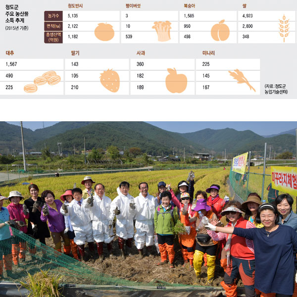 청도 풍각면 금곡리에 올해 처음 10㏊ 규모로 조성된 친환경 농업단지에서 도시민들이 메뚜기 잡기 등 체험행사를 갖고 있다. 청도군 제공