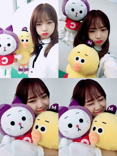 사진. 판타지오