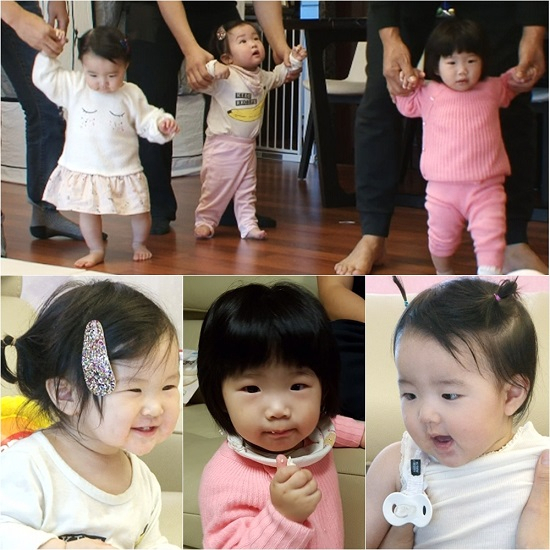 사진. KBS 2TV 