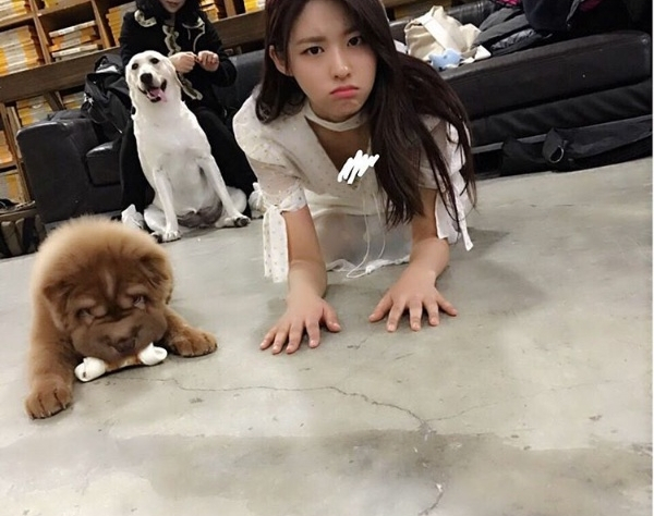 사진. 설현 인스타그램