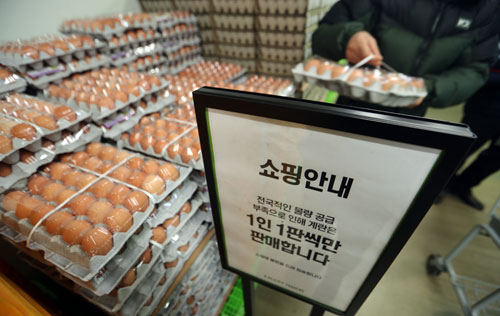 전국적으로 고병원성 AI 확산으로 살처분 가금류가 급증하면서 계란 수급에 비상이 걸렸다. 한 대형마트에 계란 