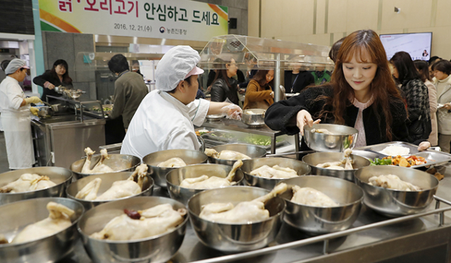 전북 전주시 완산구 농촌진흥청 구내식당에서 직원들이 삼계탕을 먹으며 닭·오리고기 가금류 소비 촉진 운동을 벌이고 있다. 연합뉴스