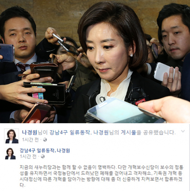 탈당 보류 입장을 밝힌 새누리당 나경원 의원. 하단은 그의 페이스북 캡쳐.